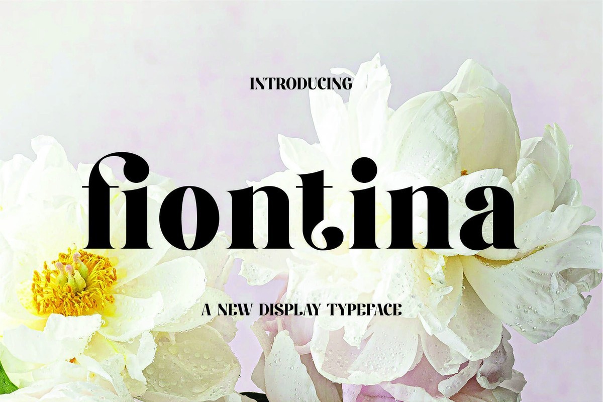 フォント Fiontina
