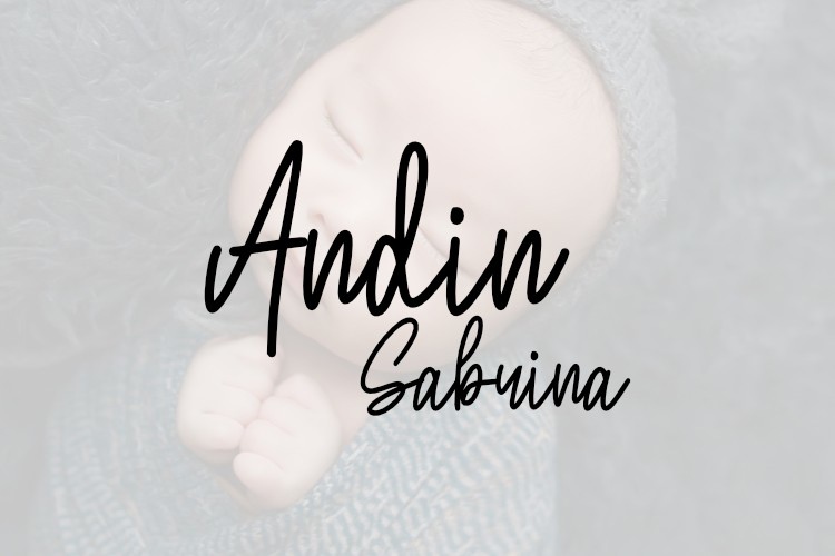 フォント Andin Sabrina