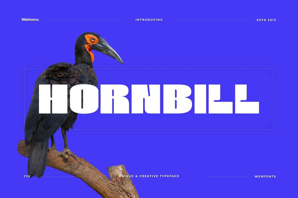 フォント Hornbill Display Bold