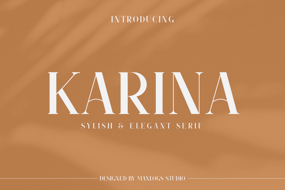 フォント Karina