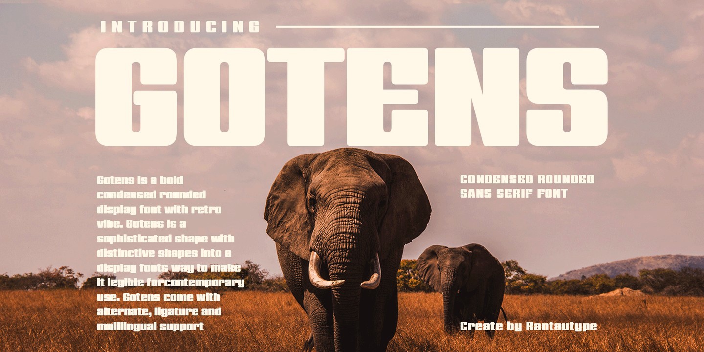 フォント Gotens