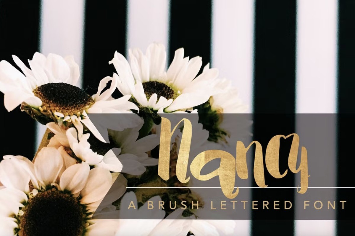 フォント Nancy