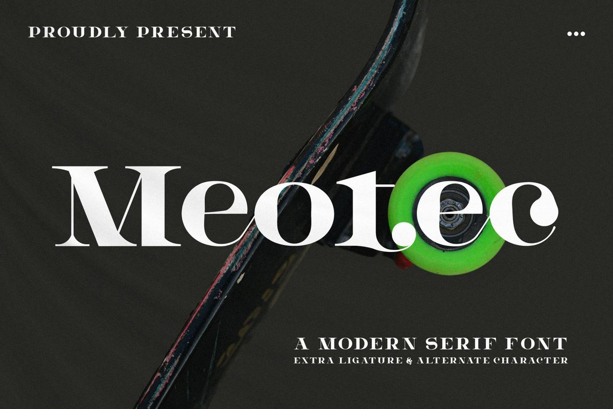 フォント Meotec