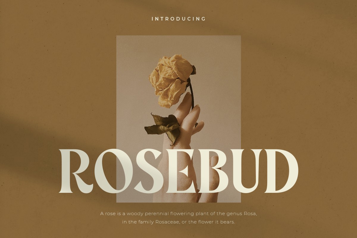 フォント Rosebud