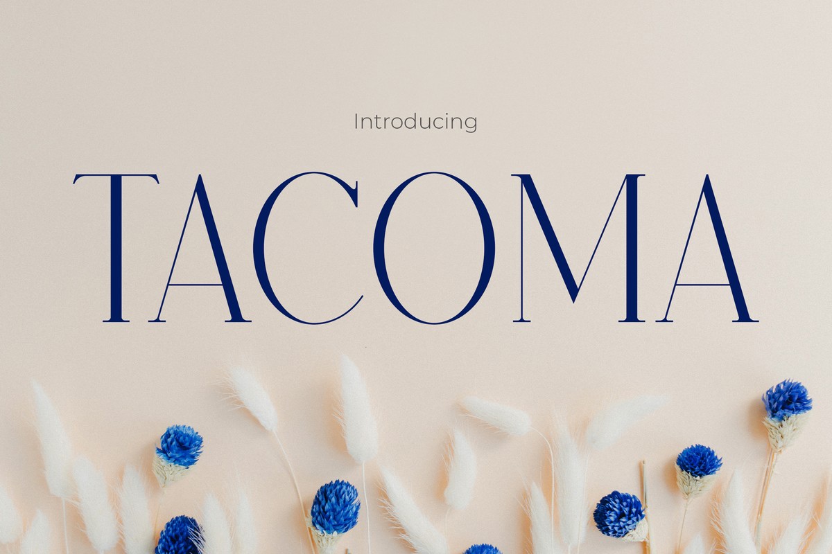 フォント Tacoma