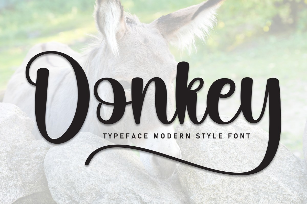 フォント Donkey