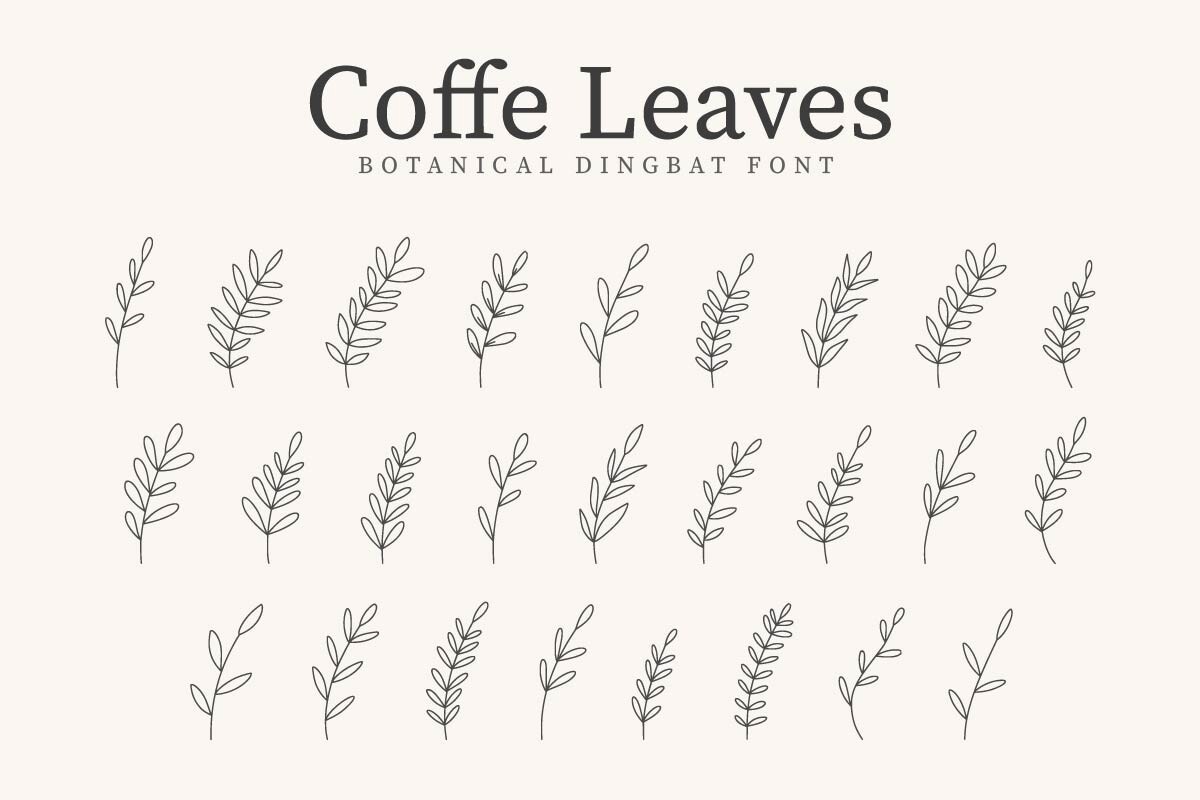 フォント Coffe Leaves