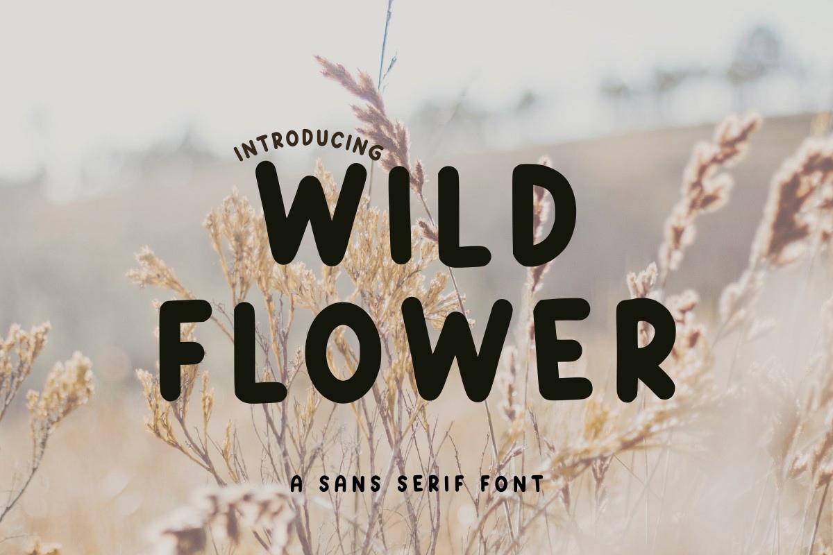フォント Wild Flowe