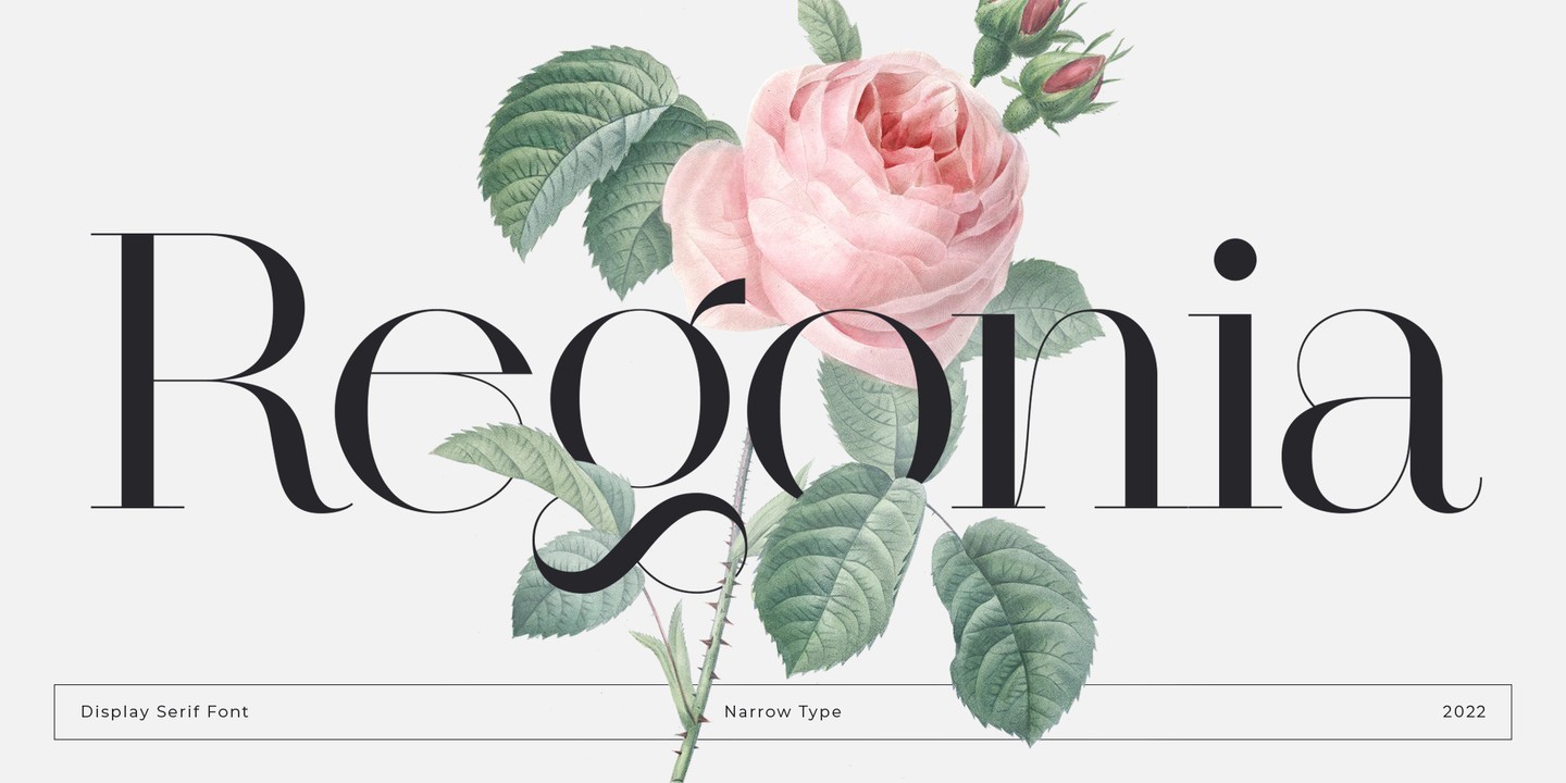 フォント Regonia