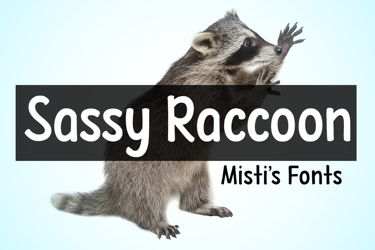 フォント Sassy Raccoon