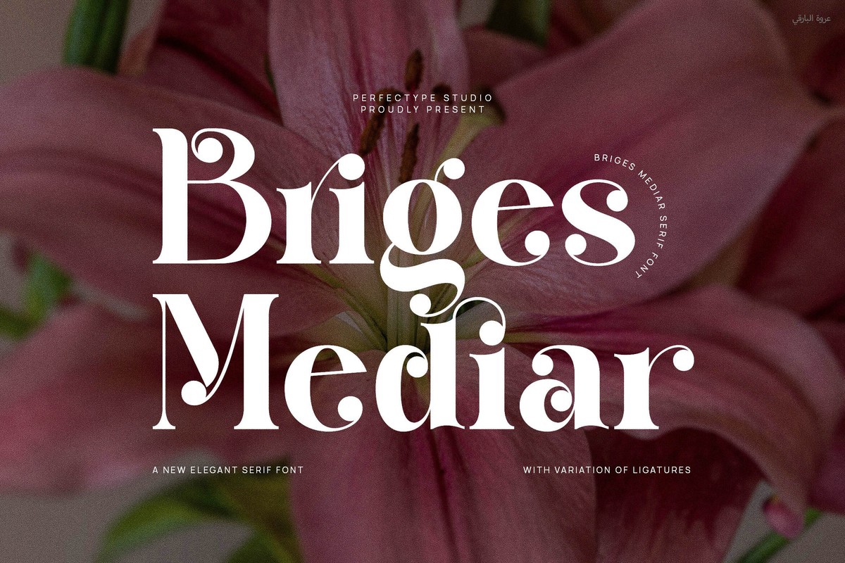 フォント Briges Mediar