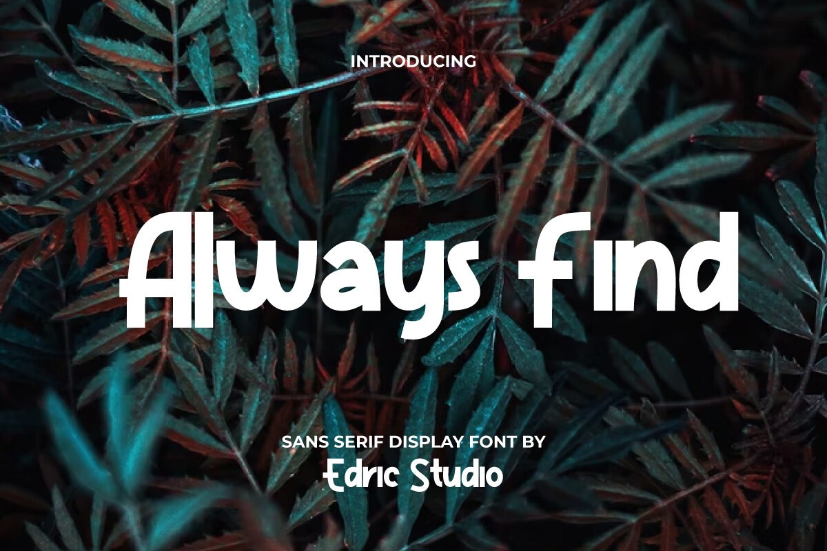 フォント Always Find