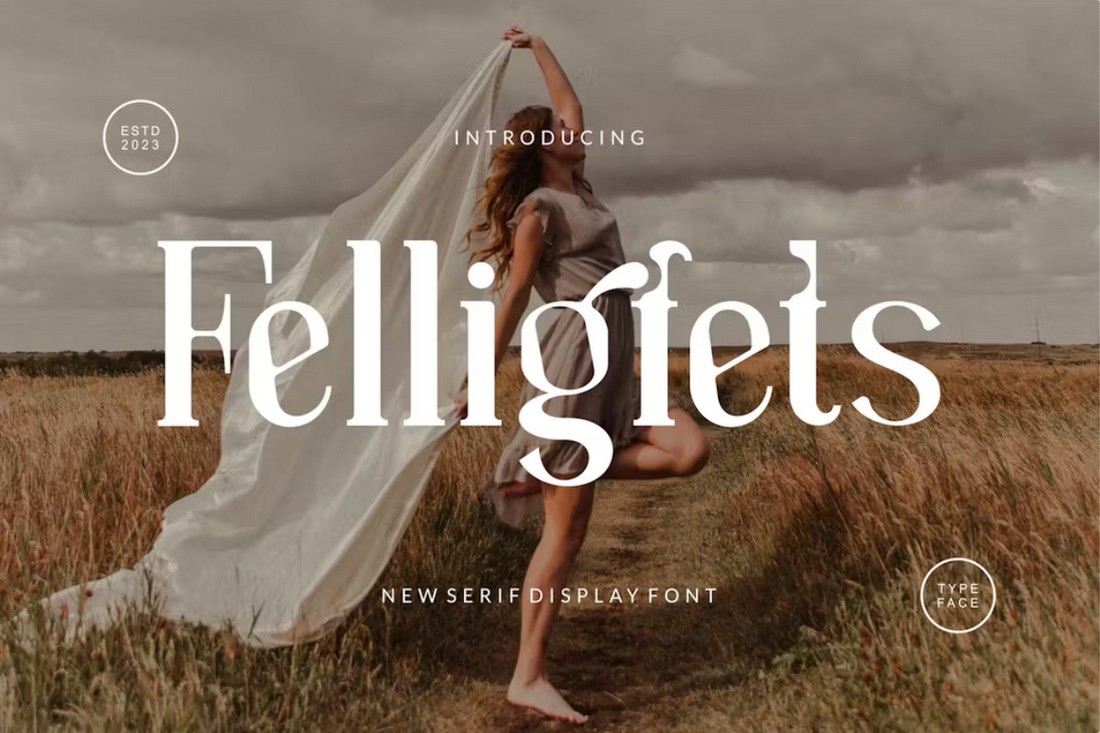 フォント Felligfets