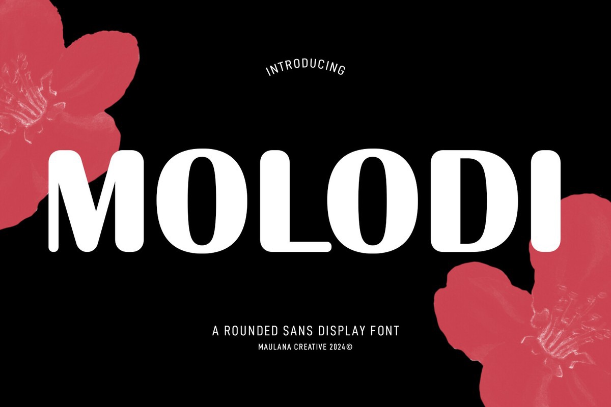 フォント Molodi