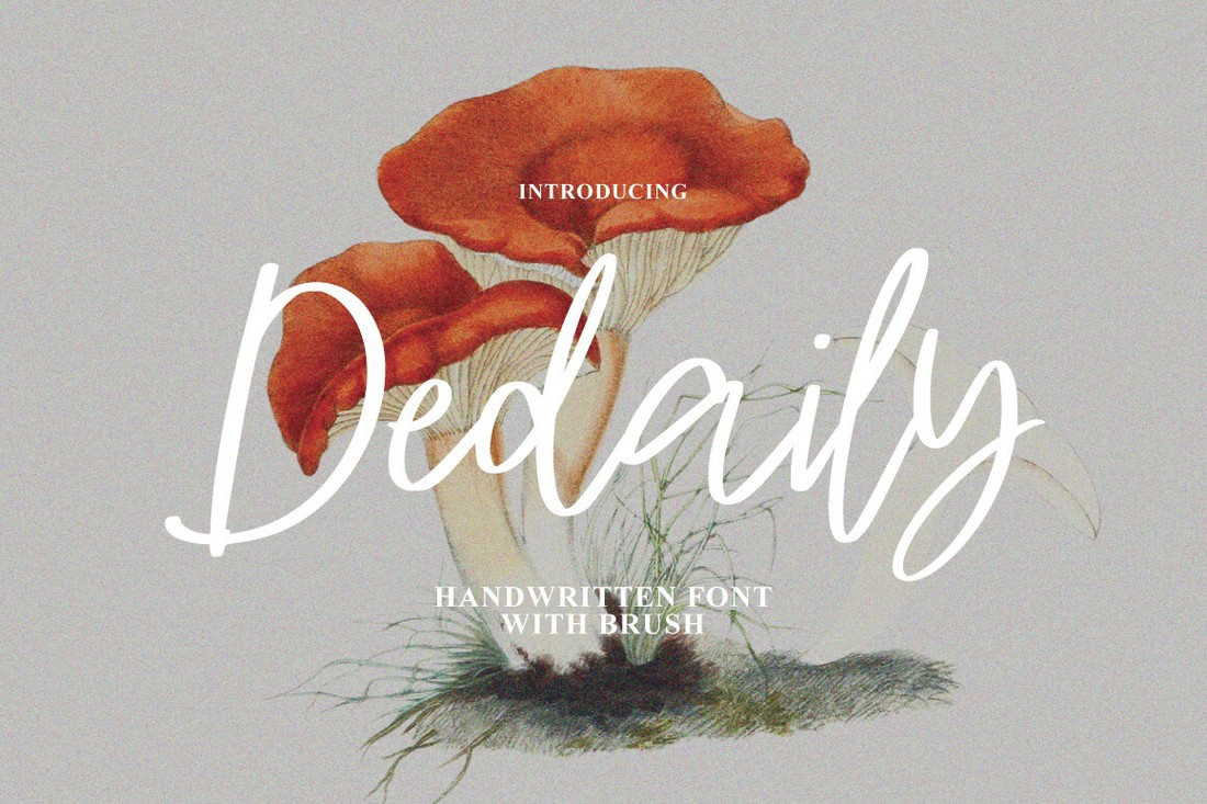 フォント Dedaily Signature