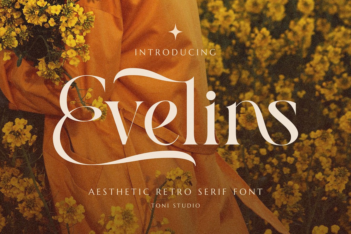 フォント Evelins