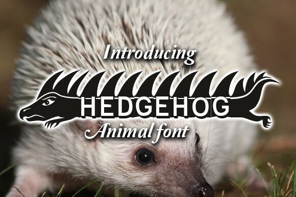 フォント Hedgehog