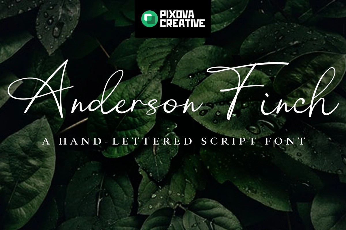 フォント Anderson Finch